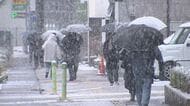 一時、大粒の雪　積雪は菅平24センチ、大町22センチ、信濃町14センチ、長野3センチ（15日午前9時）