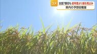 県内のコメ作況指数101・前年並み　予想収穫量32万300トン・全国7番目に多い　山形