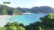 秋を告げる花　長崎県五島市でサキシマフヨウ見頃
