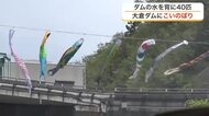 大倉ダムの「鯉の滝登り」からレトロな「くりでん」乗車会、甘〜いイチゴ狩りまで　ＧＷ宮城県内各地の表情