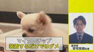犬猫にマイクロチップ「装着するだけ」ではダメ　もしもに備え情報登録…飼い主に求められること【ネタプレ経済部】