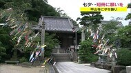 「コロナ終息願う」七夕の短冊に願いを…四国霊場でササ飾り【香川・善通寺市】