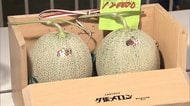 夕張メロン初競り12万円に 2019年は500万円