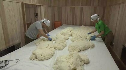 「過去記憶がない」酒米価格2倍超で危機！日本の伝統的酒造りが岐路に　ＪＡ介さず直接コメ仕入れる契約を決断、老舗酒蔵が挑む新たな取り組み　岩手県