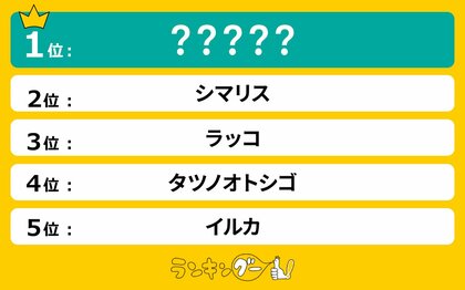 面白い動物ランキングを発表。1位にランクインしたのは意外な生態を持つあの動物!