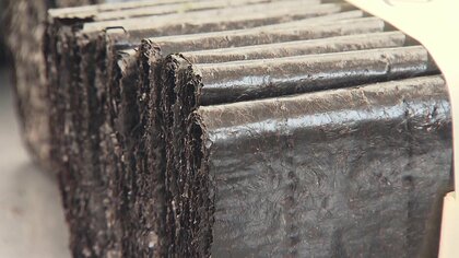 魚がノリを食べすぎ生産量激減…海水温上昇でクロダイが活発になり食害増加【岡山発】