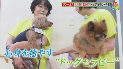 人間と動物の豊かな関係へ「アニマルセラピー」　人々を癒やすドッグセラピー 精神科病院のホースセラピー