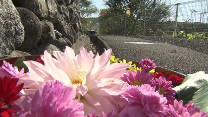 美しい逆さ紅葉や花が溢れるカラフルな花手水　秋の彩りで町を元気に　江迎町の魅力詰まった「笑迎WEEK」