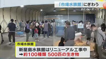 【こどもの日スケッチ】５月３日にオープンしたばかり　高松市「市場水族館」にぎわう【香川】
