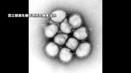東京都でインフルエンザの流行開始　去年より1カ月以上早い流行期入り