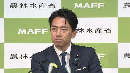 EUのウナギ規制提案に小泉農水相が遺憾の意を表明「十分な資源量が確保されているため国際取引による絶滅の恐れはない」