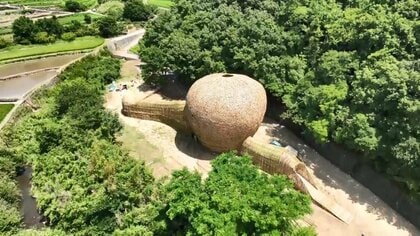 小豆島 竹 販売済み アート