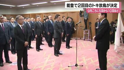 能登で2回目のトキ放鳥が決定…今年9月ごろに5羽から10羽程度を予定