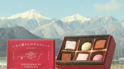 「夏秋イチゴ」おいしさ閉じ込めたチョコレート　規格外を利用してフードロス削減【長野発】