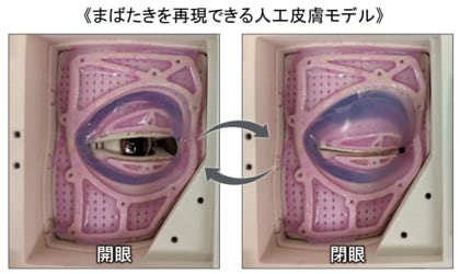 “まばたきする人工皮膚モデル”を開発～ 1日2万回の動きを再現、目元老化の新評価モデルへ～