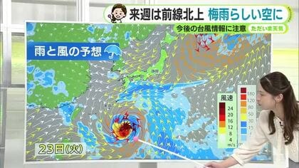 新たな台風発生？来週は情報注視【静岡・ただいま天気　6/12】