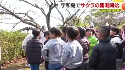 本格的な春の足音近づく…宇和島で独自の桜観測が今年もスタート　子どもが歌やダンスで開花後押し【愛媛】