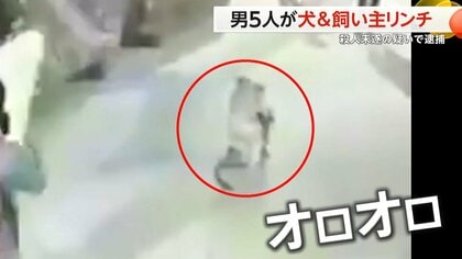 飼い主 オファー 逮捕 ペット