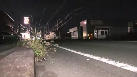 静岡県浜松市で重体ひき逃げ　被害者は91歳男性と判明　自転車に乗っていてはねられる　意識不明の重体　警察は79歳男を逮捕　静岡県警・浜松東署
