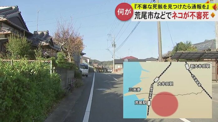 不審な死に方をしたネコが目撃された地域