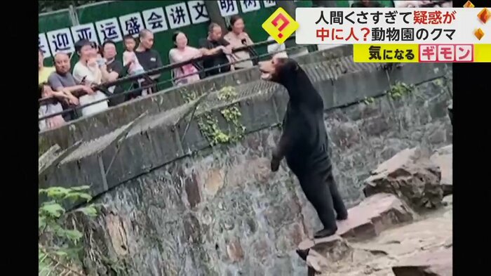 背筋をピーンと伸ばし、2本足で直立するクマ