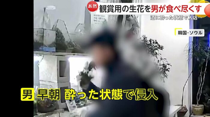 口いっぱいに草を頬張る男（Instagram @lily_valley_studioより）