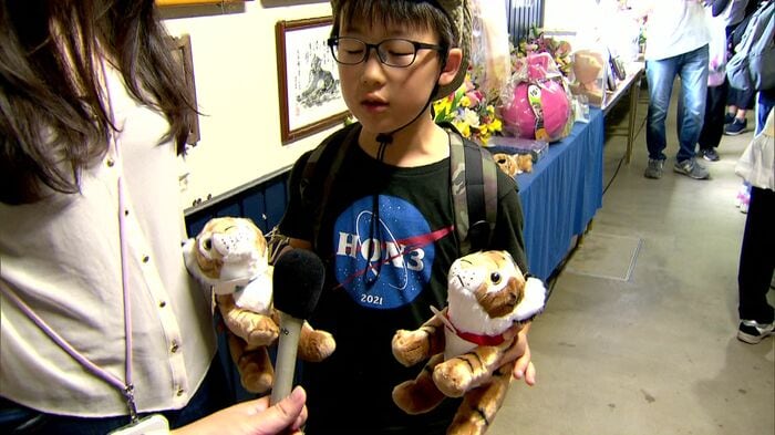 タイガとココアのぬいぐるみと一緒に参加