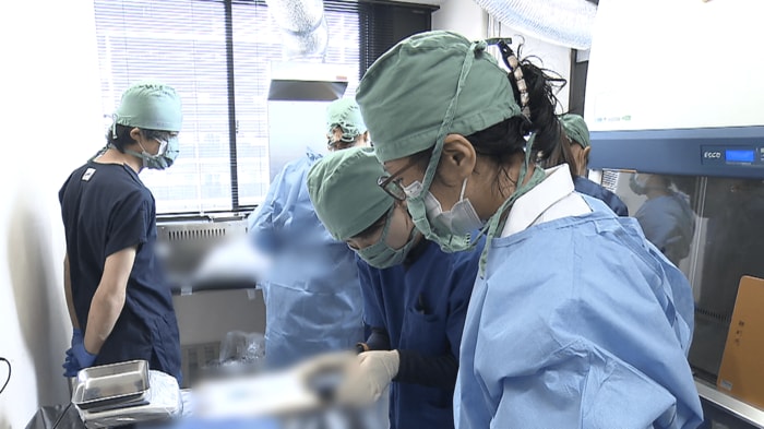猫の解剖を行う様子(10月22日)