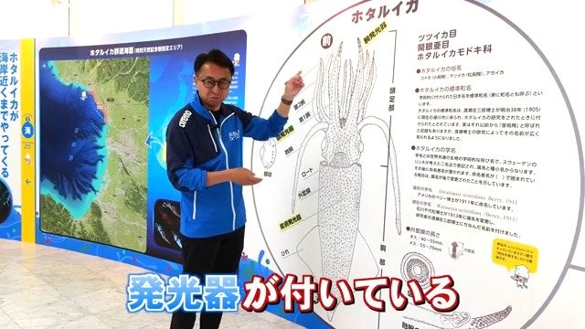 ホタルイカミュージアムの小林昌樹さん
