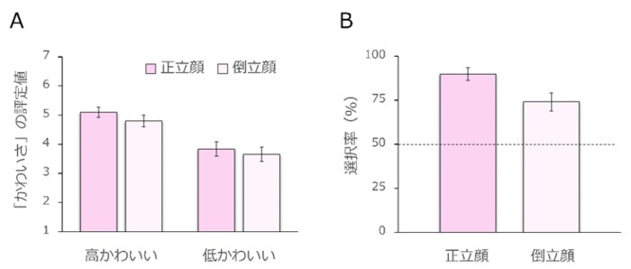 (提供:四天王寺大学・藏口佳奈さん)