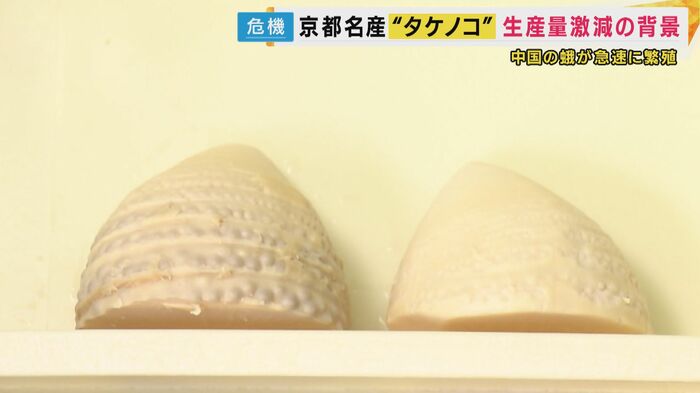 国産タケノコと京都産の違い