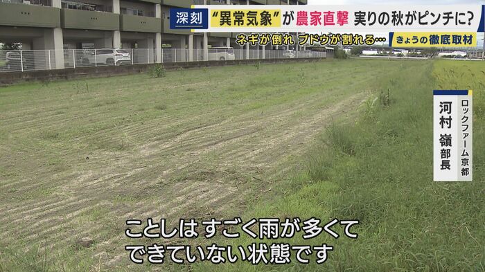 雨が多すぎて土台づくりすら進まない