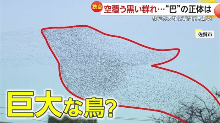 巨大な鳥にも見えた黒い影