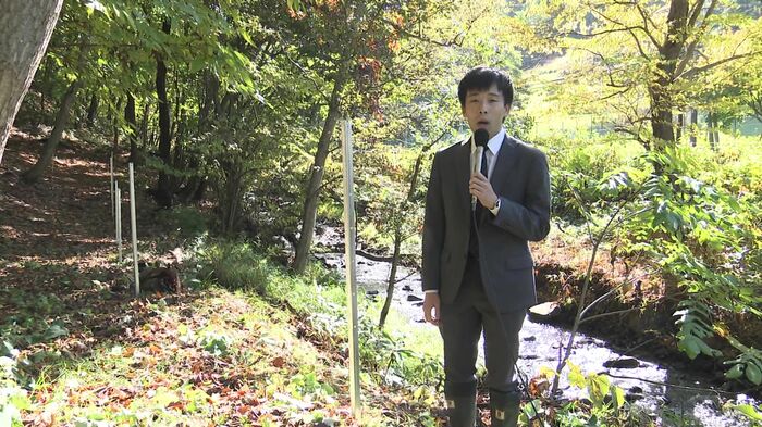 札幌市立盤渓小学校の周辺では電気柵を張るためのポール設置が進められている