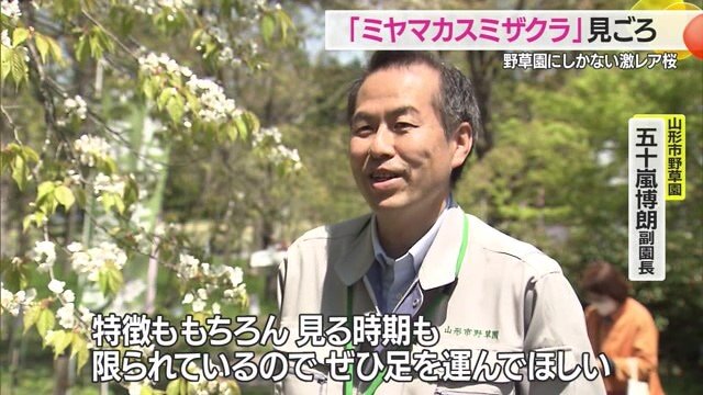 山形市野草園・五十嵐博朗副園長