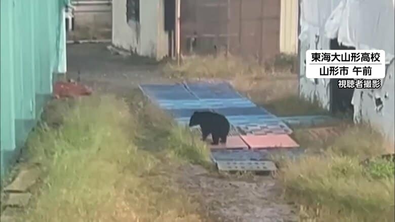 山形市の東海大山形高校の敷地内でクマ目撃 グラウンド近くを歩いたり、室内練習場のネットよじ登る 29日の外の授業は中止|FNNプライムオンライン