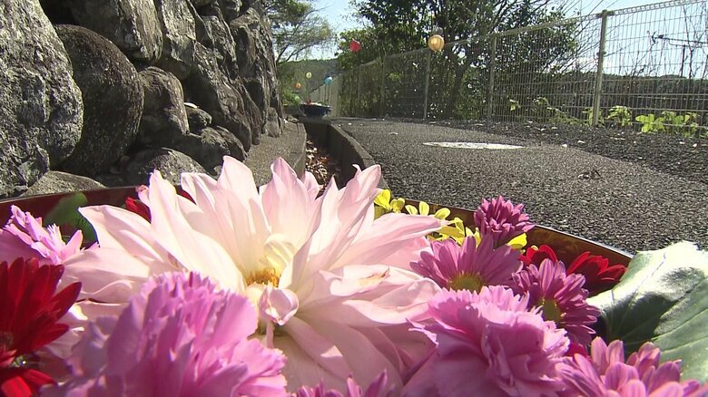 美しい逆さ紅葉や花が溢れるカラフルな花手水　秋の彩りで町を元気に　江迎町の魅力詰まった「笑迎WEEK」｜FNNプライムオンライン