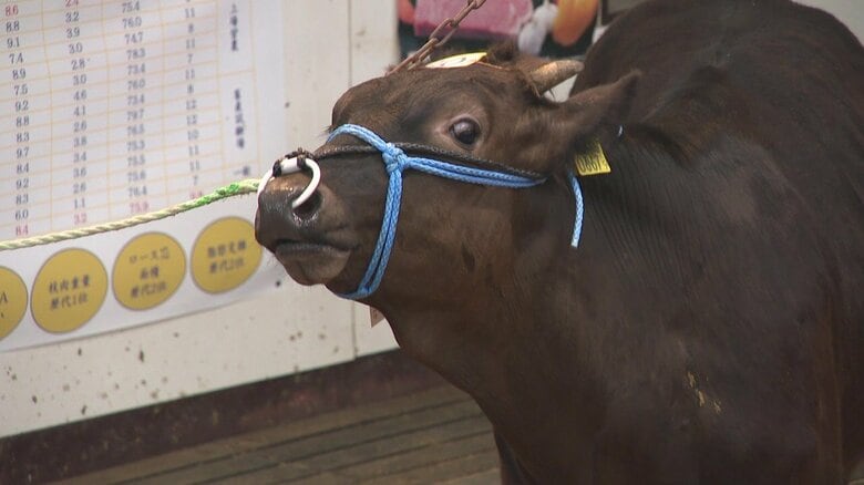 「安く売らない」　子牛の仕入れ価格高騰に苦しむ“佐賀牛”の肥育農家　「選んでもらえるブランド価値をつくっていく」｜FNNプライムオンライン