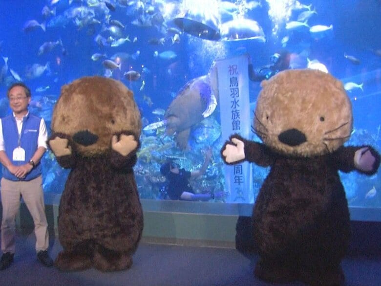 “国内唯一”ラッコで注目…三重県の鳥羽水族館が開館70周年 日本一となる1200種類の海などの生き物を飼育展示｜FNNプライムオンライン