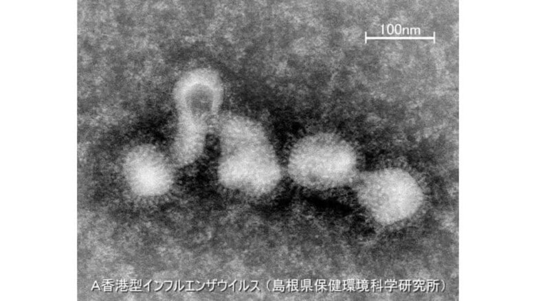 インフルエンザが島根県でも流行シーズン入り　松江や出雲など東部で報告数が急増｜FNNプライムオンライン