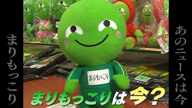 北海道発・愛されて20周年！全国的ブーム「まりもっこり」は今？ 社長考案の記念グッズ“まさかの姿”に！？｜FNNプライムオンライン