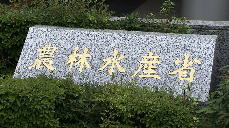 外国人労働者「特定技能」外食分野の受け入れを4月から停止　上限5万人を5月に超える見通し　2019年以降初｜FNNプライムオンライン