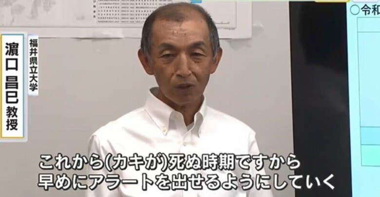 【養殖カキの大量死問題】梅雨時期に雨が少なかったことや、高水温、高塩分など複合的なストレスが要因か…｜FNNプライムオンライン