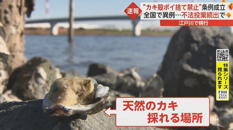 千葉・市川市を流れる江戸川
