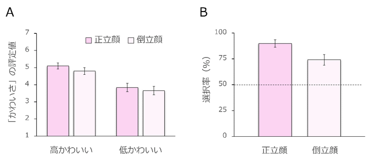(提供:四天王寺大学・藏口佳奈さん)