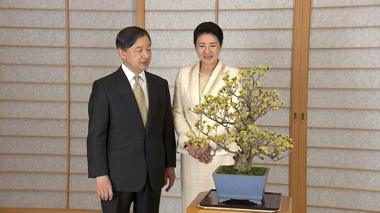 宮内庁・庭園課が育てている「サンシュユ」の盆栽をご覧に(皇居・御所)