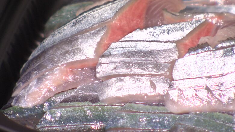 脂が乗りキラキラと輝いているサンマ