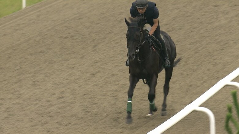 坂路で軽い運動をするクロワデュノール