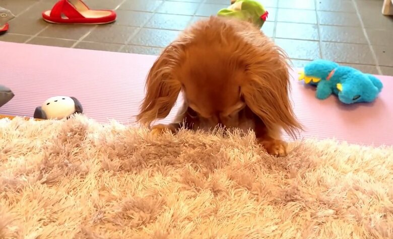 反省ポーズの理事長ちゃん