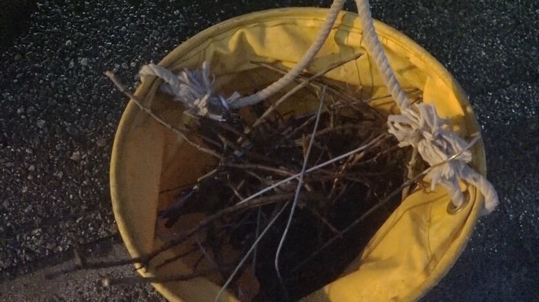 電柱から回収されたカラスの巣　針金が電線に触れショートし、停電につながったか（富山市）